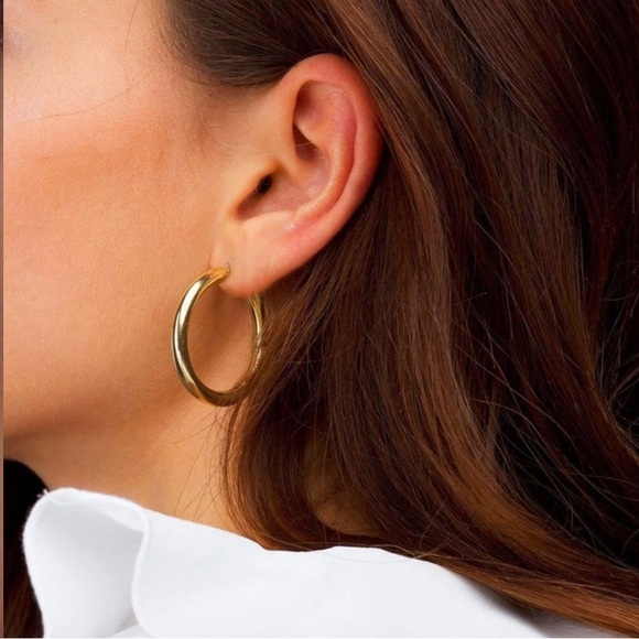 Stainless Steel Gold Plated Hoop Earrings - Picture 4 of 6